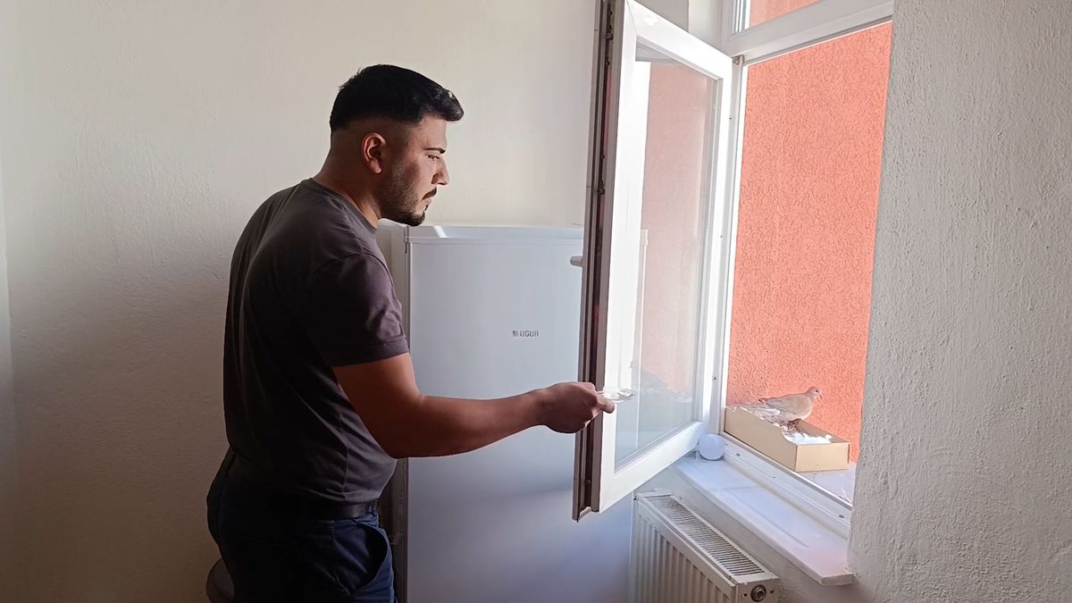 Sivas'ta Gençten Kumruya Duyarlı Destek: Emanete Sahip Çıktı