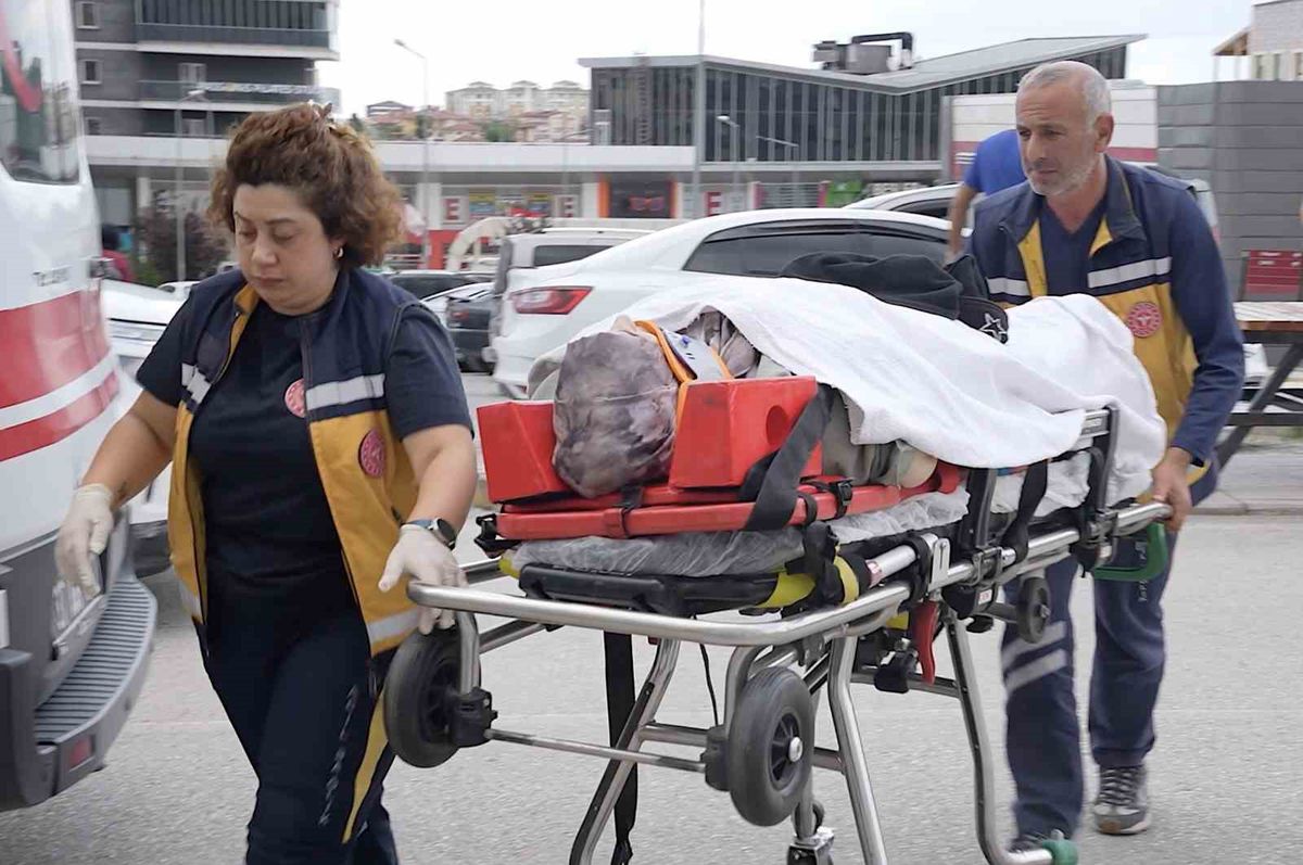 Seydiler'de kamyon-otomobil çarpıştı: 3 yaralı