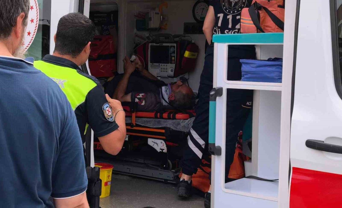 Köpeğe çarpmamak için devrildi, köpek ambulansı bekledi