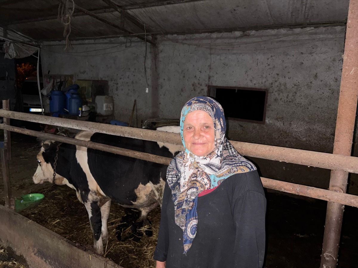 Danayı kuyruğunu keserek yaralayan şüpheli gözaltında