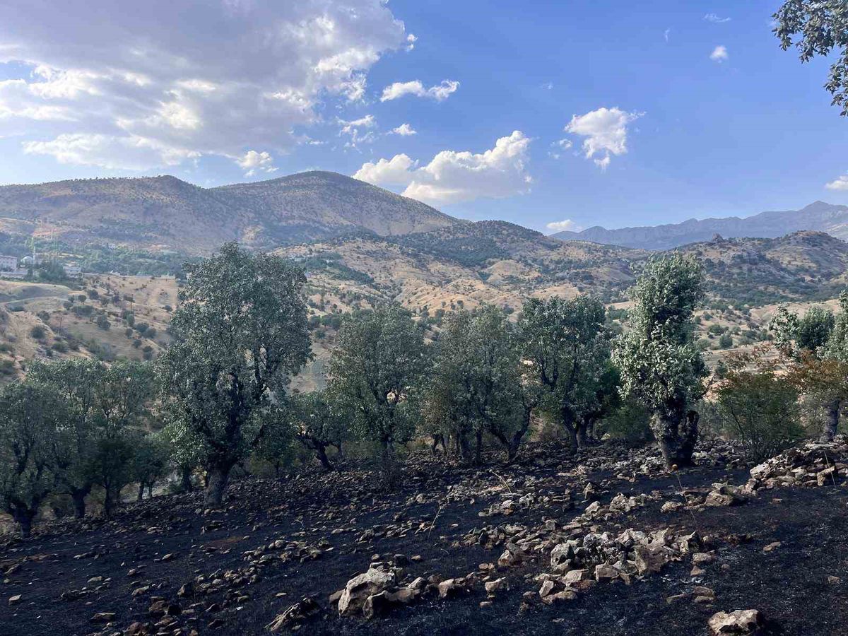 Siirt'te Yangınlarla Mücadele Sürüyor