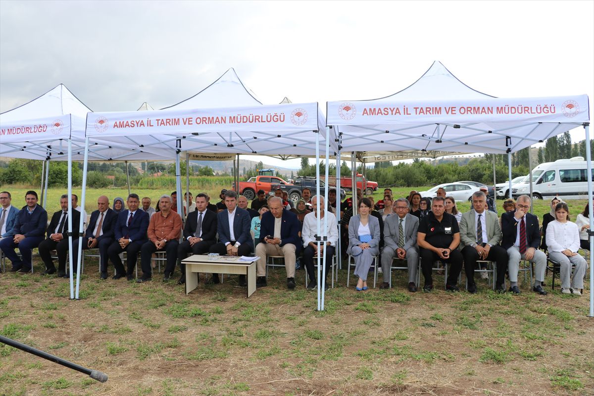 Amasya'da ipek böcekçiliği ve kadın kooperatiflerine 21 milyonluk destek
