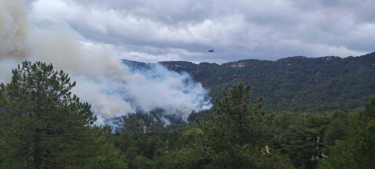 Manavgat'taki orman yangını 22 saat sonra kontrol altına alındı