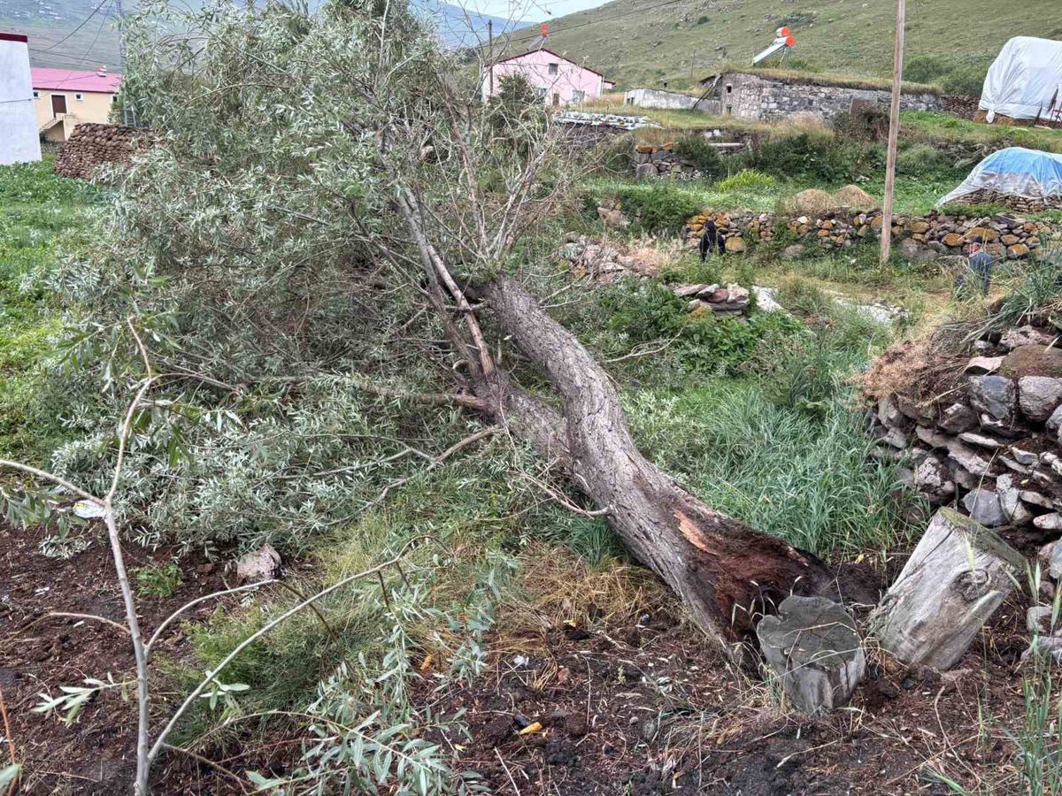 Damal'da Fırtına Ağaçları Devirdi, Köylüler Seferber Oldu