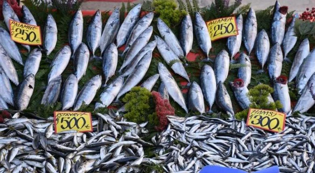 Balık av yasağı ne zaman kalkıyor, balık av yasağı kalktı mı?