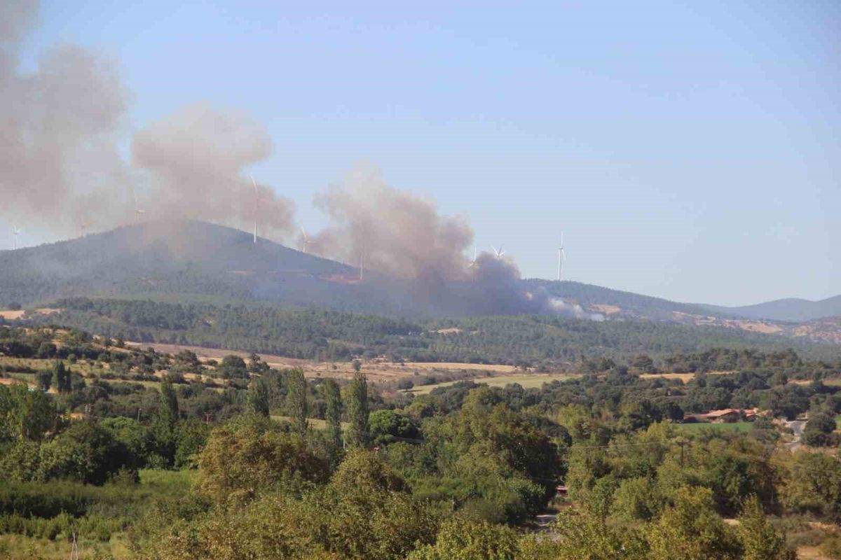 Bayramiç'te Orman Yangınına Müdahale