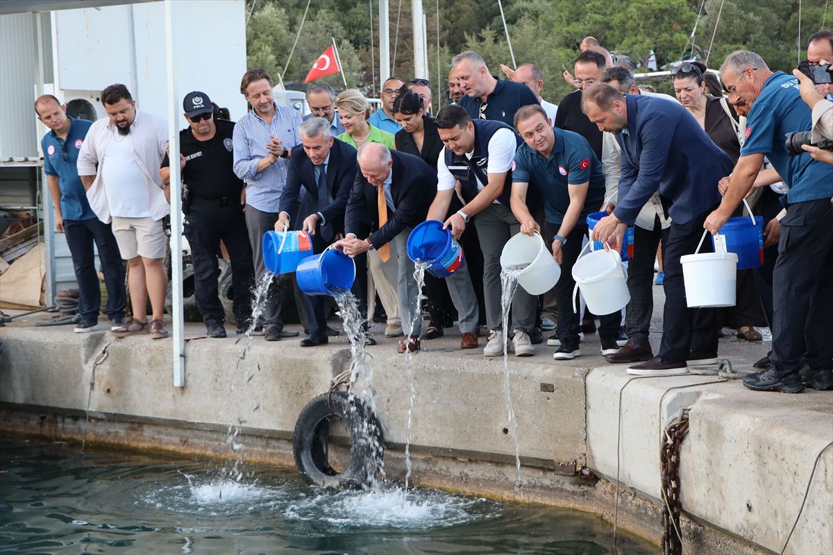 Bodrum'da Su Ürünleri Av Sezonu Açıldı