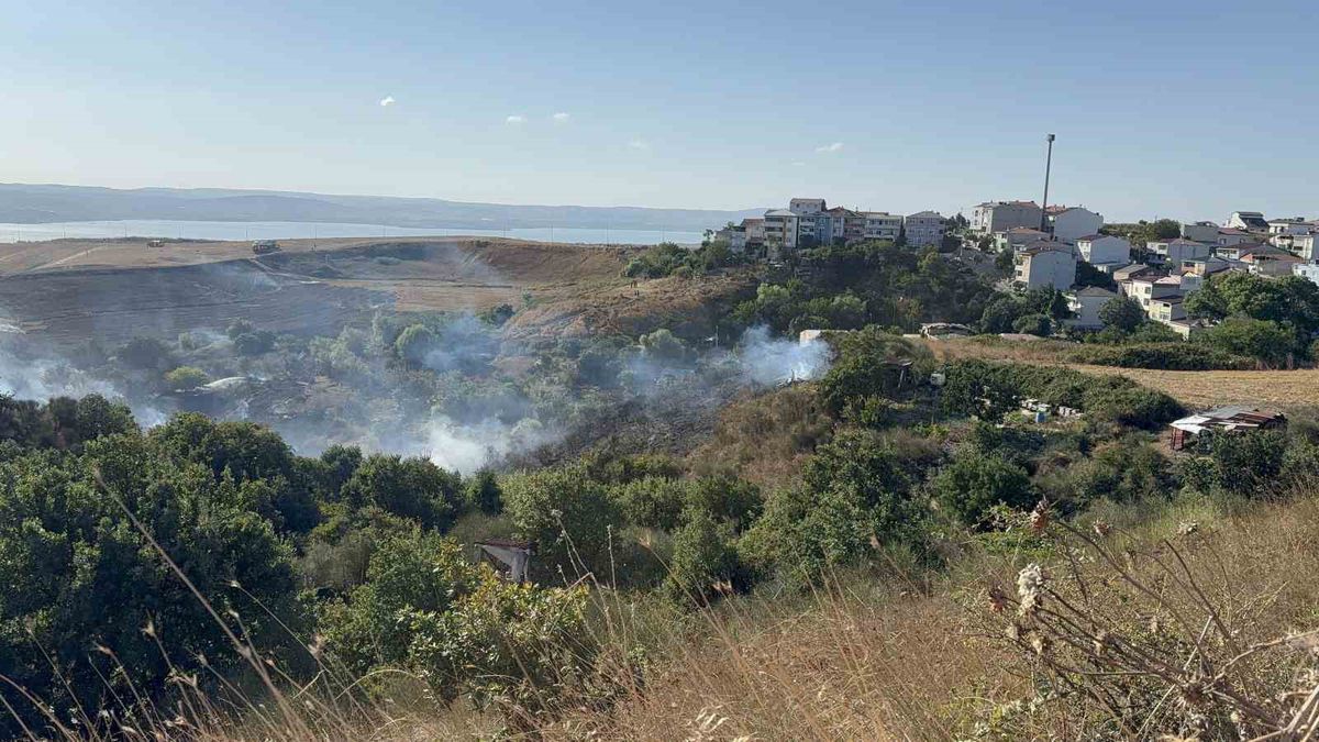 Büyükçekmece’de korkutan tarla yangını: Dumanlar metrelerce yükseldi