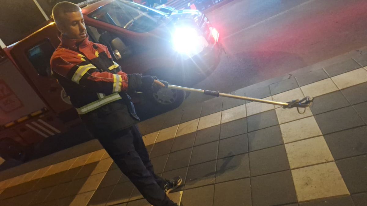 Cami bahçesine giren yılan itfaiye ekiplerince yakalandı