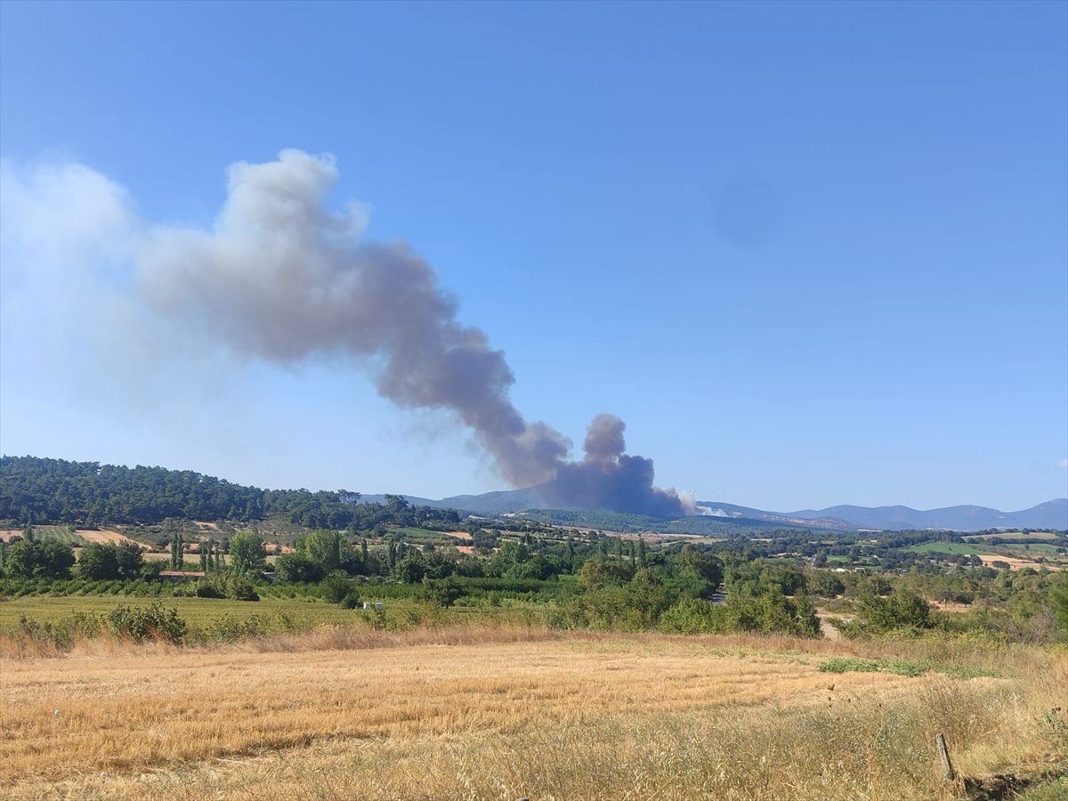Çanakkale'de Orman Yangınına Müdahale