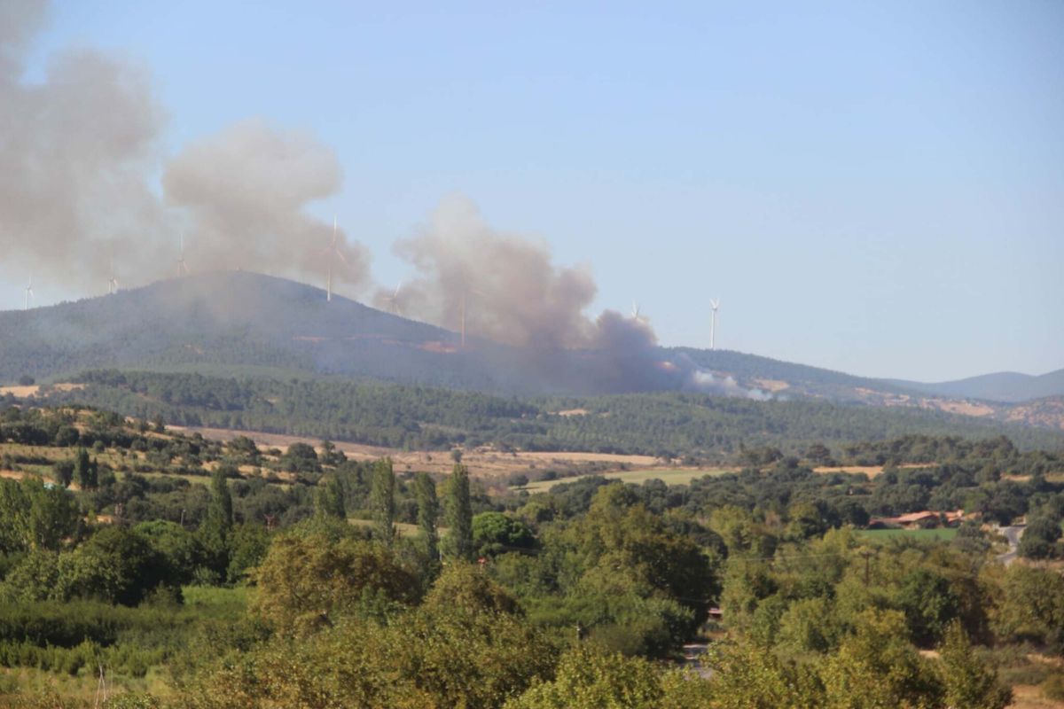 Çanakkale Bayramiç'te Orman Yangını