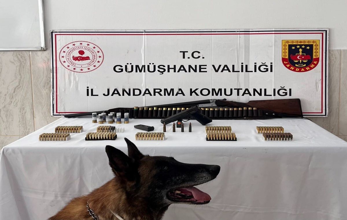 Gümüşhane'de Eve Silah Baskını: Çok Sayıda Ruhsatsız Silah ve Mühimmat Ele Geçirildi