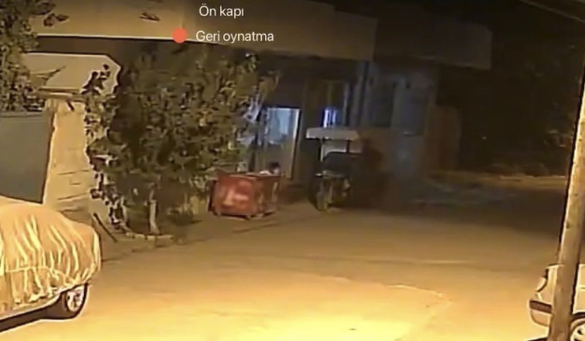 Mardin'de Maskeli Telefon Hırsızlığı