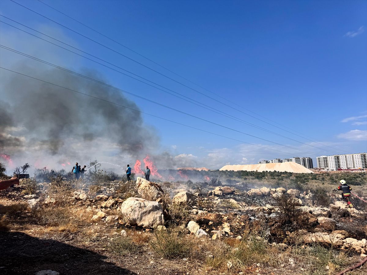 Silifke'de makilik yangın kontrol altında