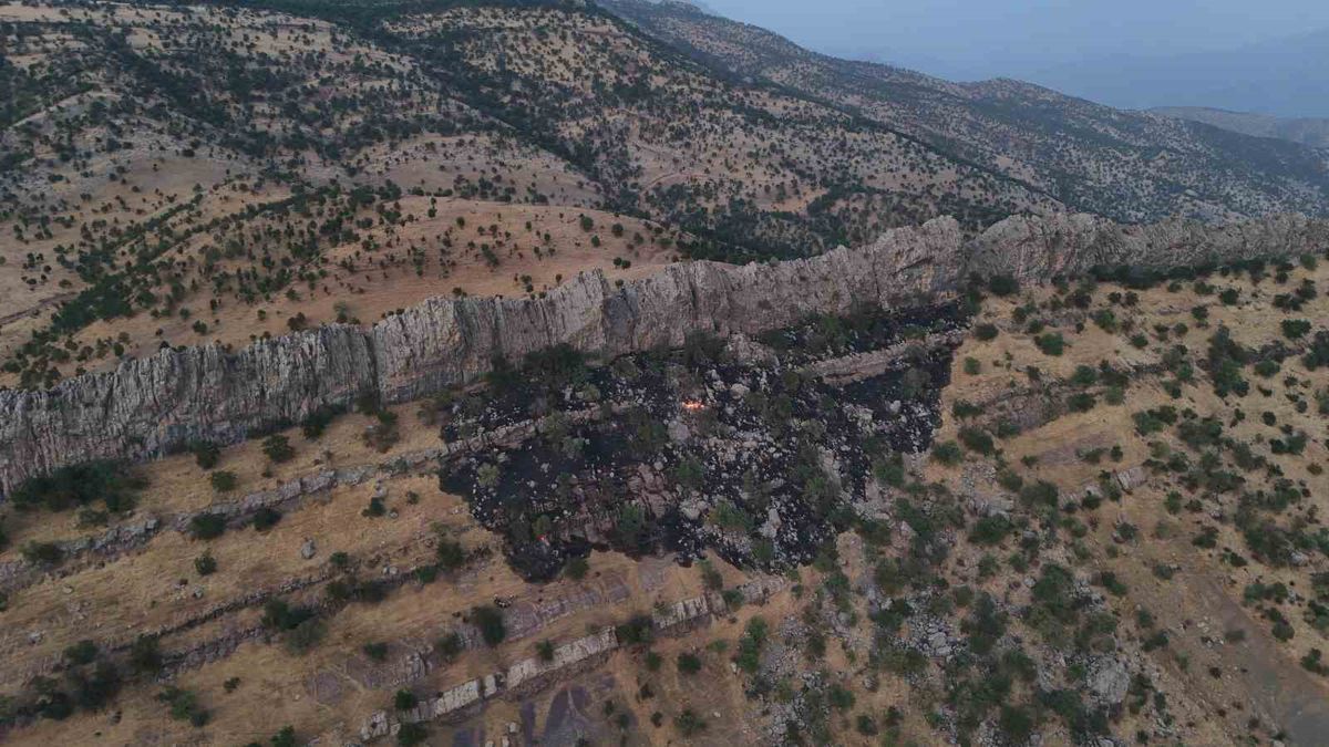 Hakkari'de Orman Yangını Köylülerce Söndürüldü