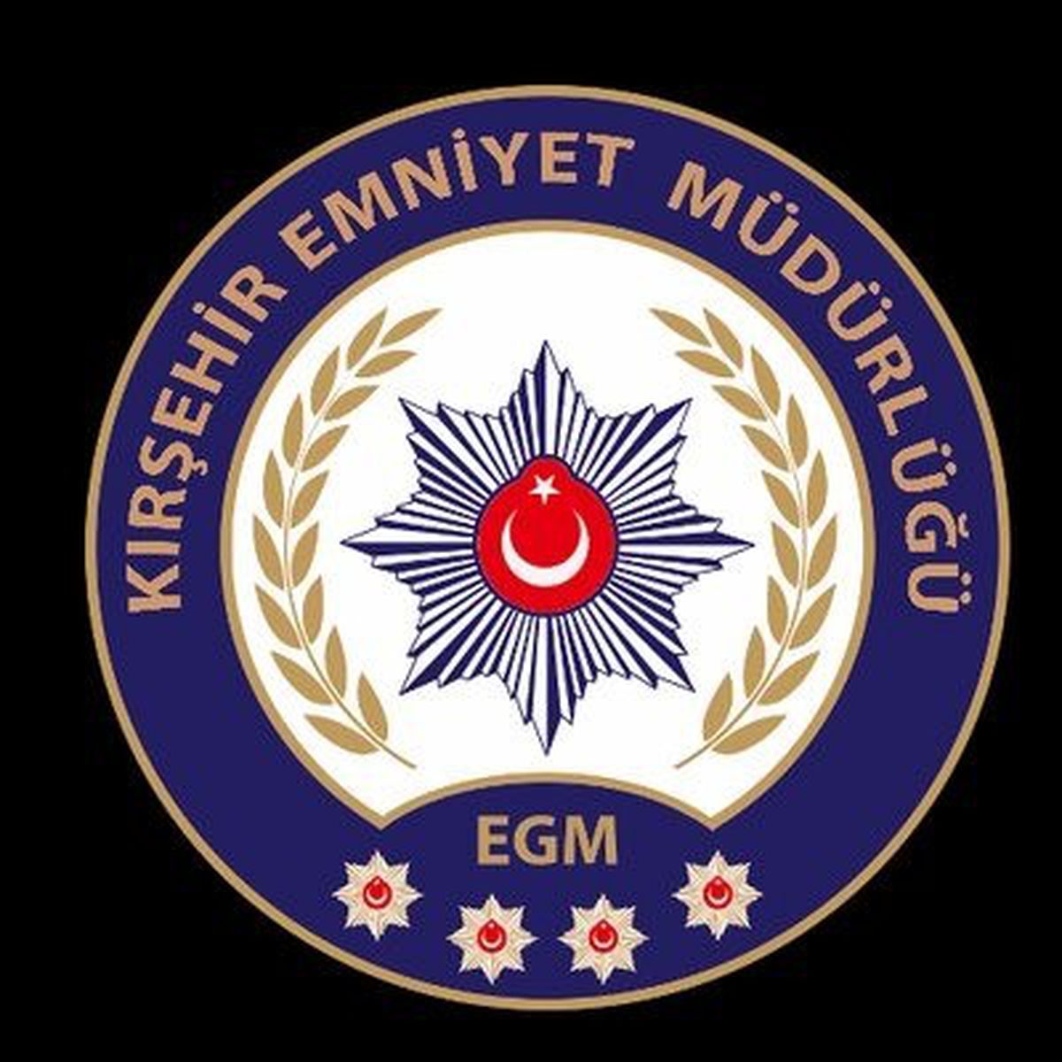 Kırşehir'de sosyal medya dolandırıcılığı: 100 bin lira vurgun yapan 2 şüpheli tutuklandı