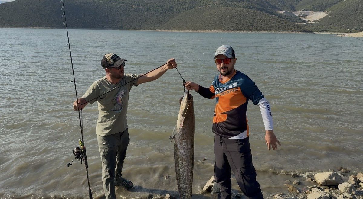 Turna Avına Çıktılar, 13 Kilogramlık Dev Yayın Balığı Yakaladılar