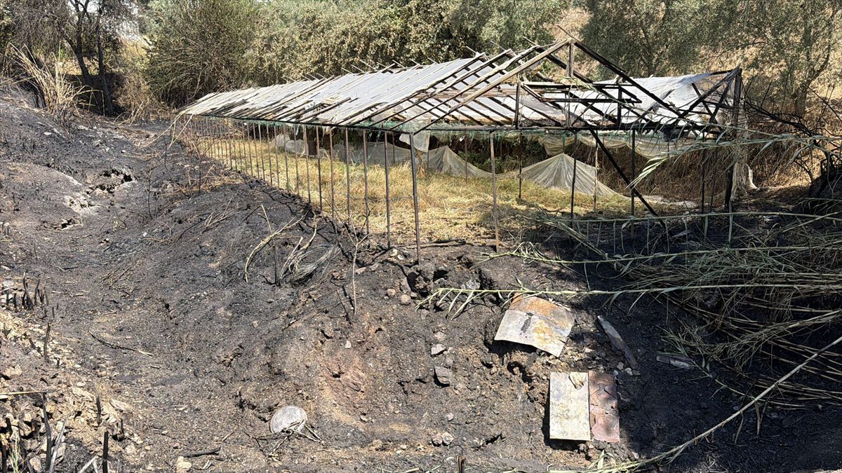 Alanya'da makilik yangın kısa sürede söndürüldü