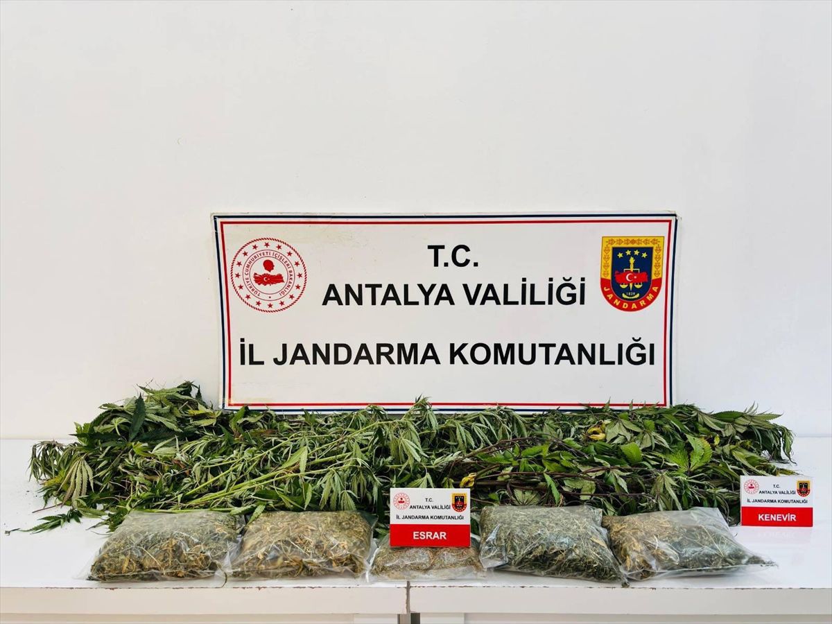 Alanya'da Uyuşturucu Operasyonu: 1 Gözaltı