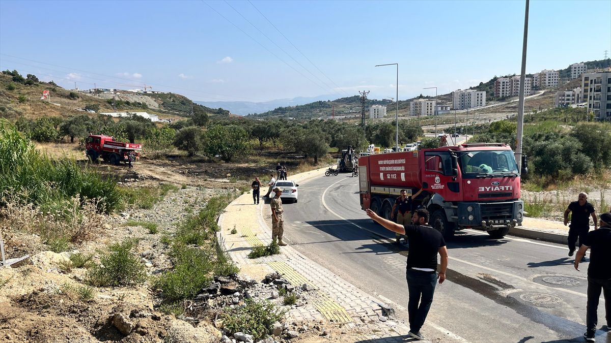 Antakya'da zeytinlik yangını söndürüldü