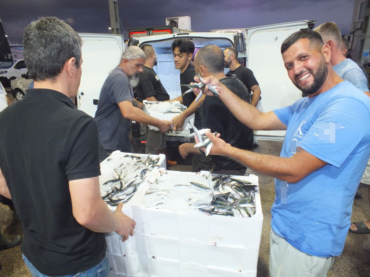 Balık avı sezonu açıldı, Bandırma Balık Hali’nde yoğunluk yaşandı
