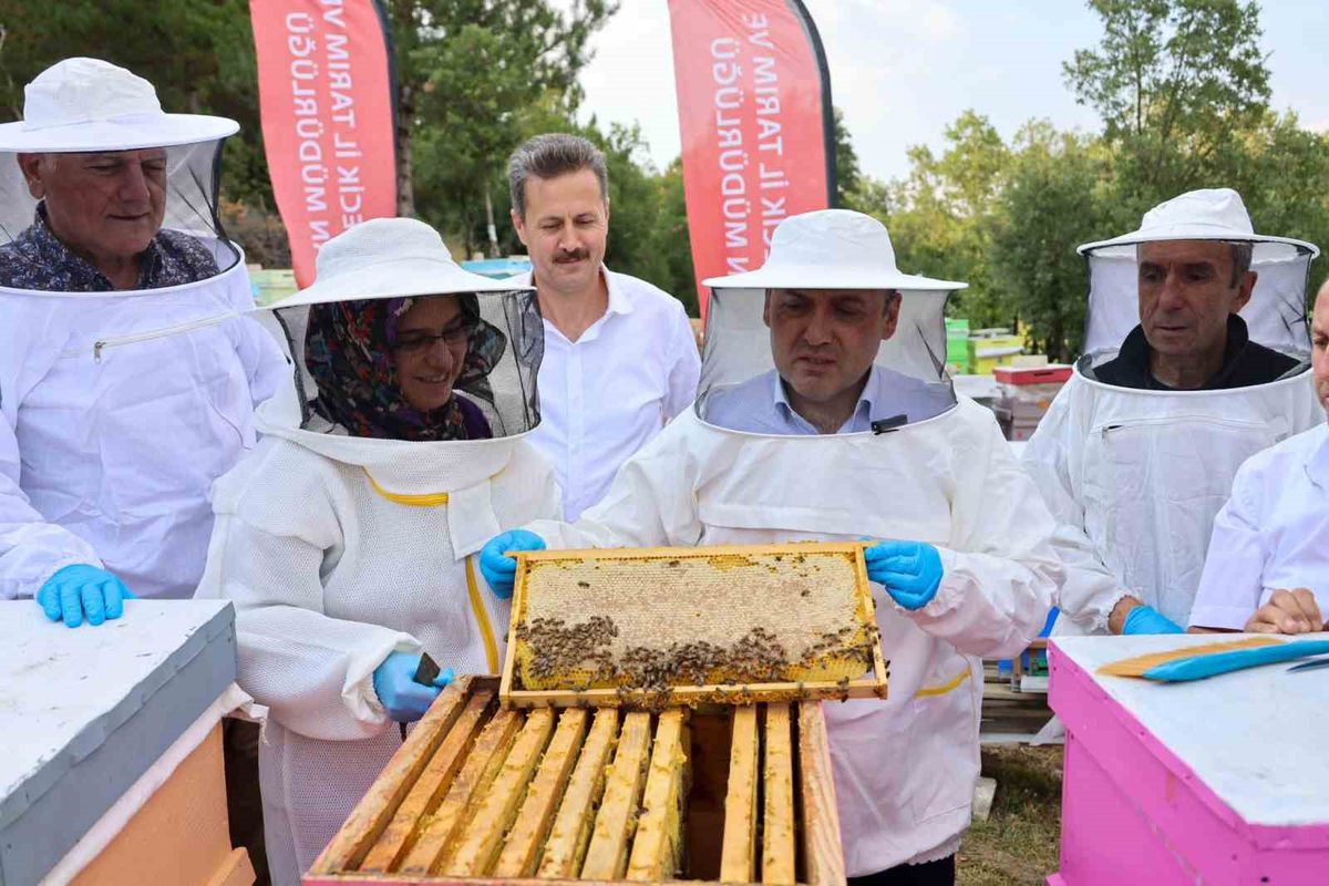 Bilecik'te Yıllık 135 Ton Bal Üretimi