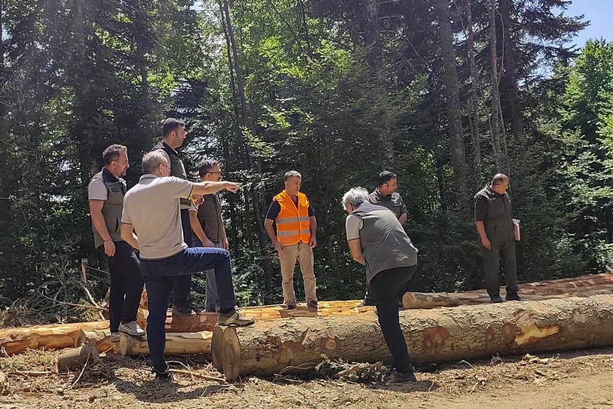 Bolu Orman Bölge Müdürü Kanbur'dan saha denetimi