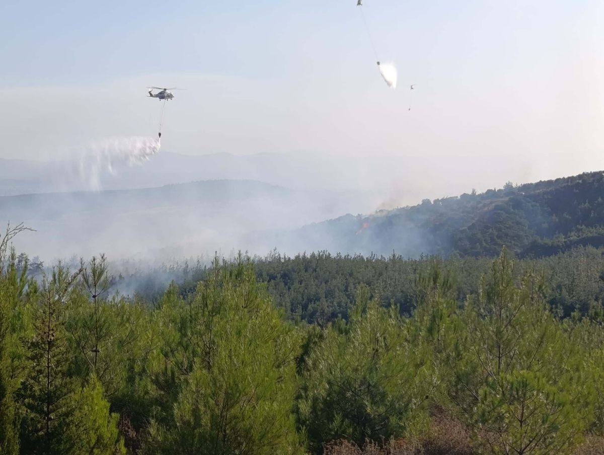 Bayramiç'teki Orman Yangınında 8 Hektar Zarar Gördü