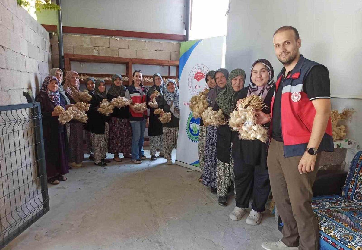 Domaniç Sarımsağında Organik Üretim ve Coğrafi İşaret İçin Önemli Adım