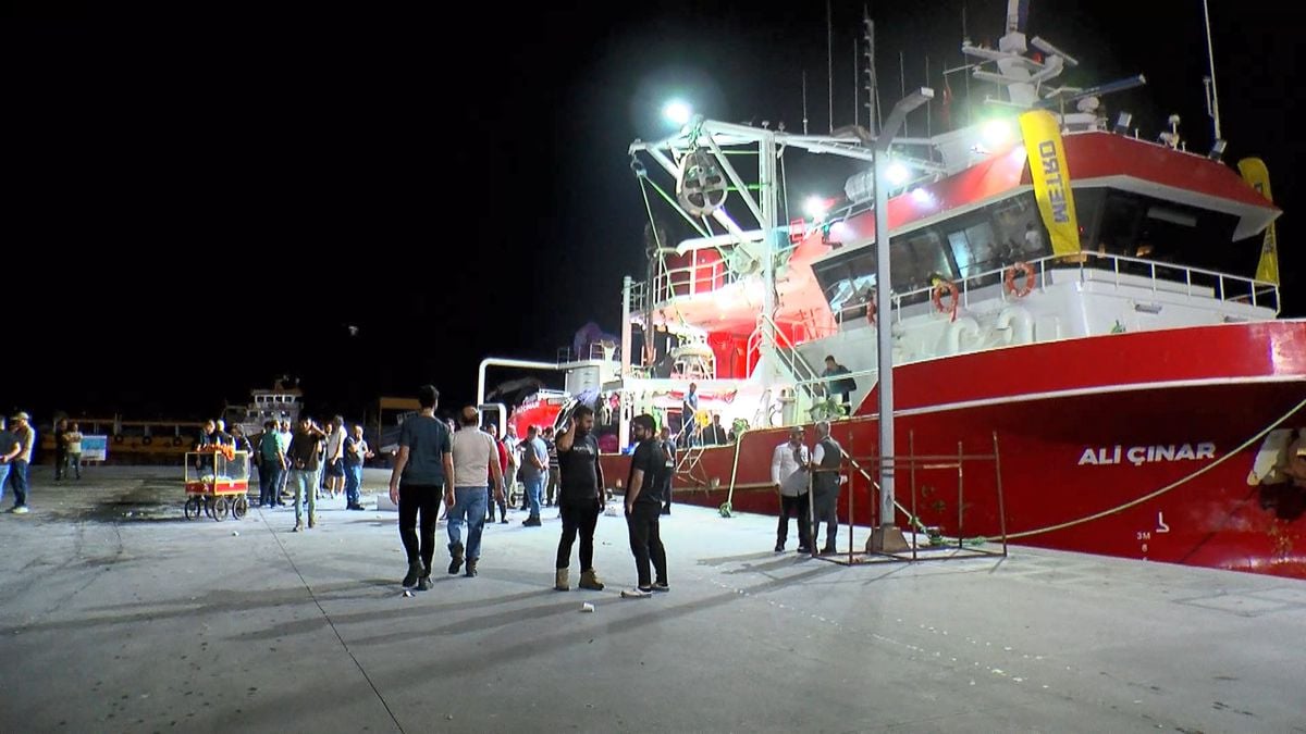 Gürpınar Balık Hali'nde Av Sezonu Heyecanı: Palamut Bolluğu
