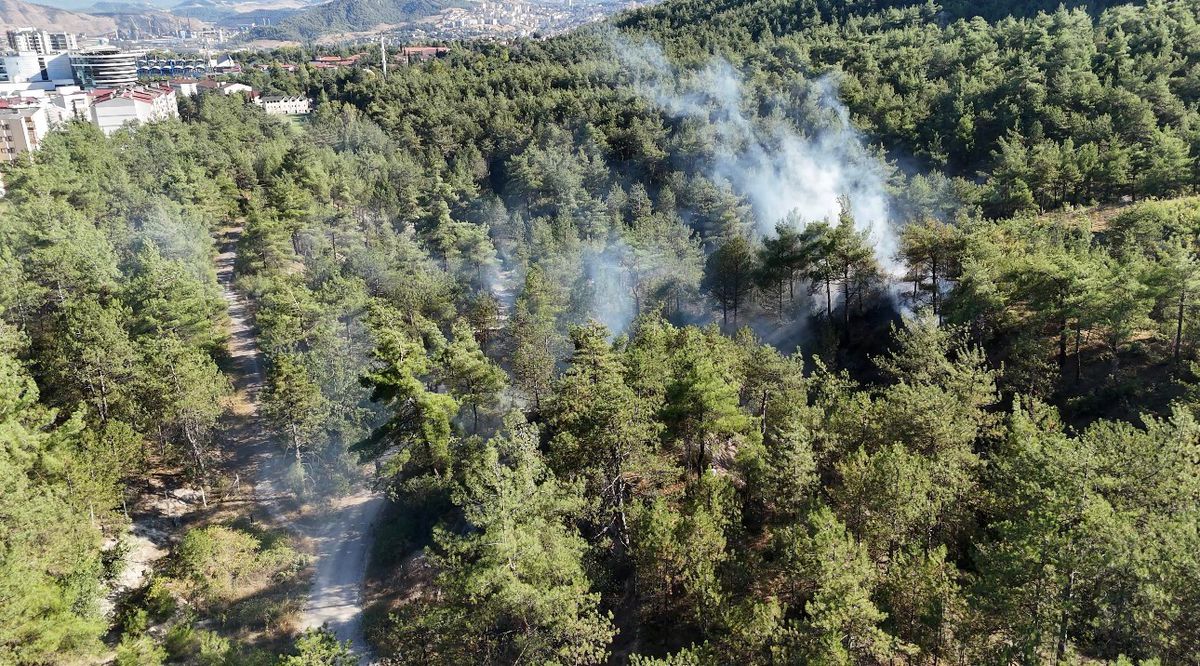 Karabük'te Orman Yangını Büyümeden Söndürüldü