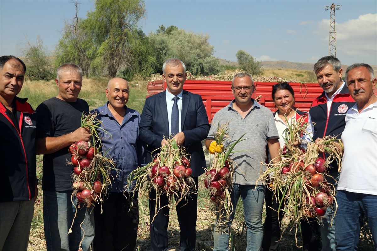 Kılıçlar Soğanı Hasadı Gerçekleştirildi