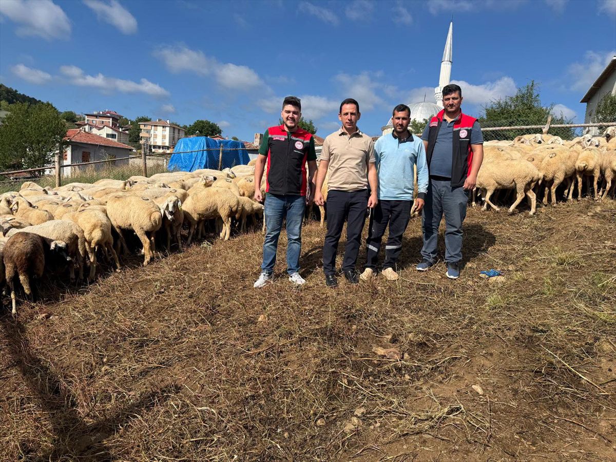 Kargı'da küçükbaş destek denetimi