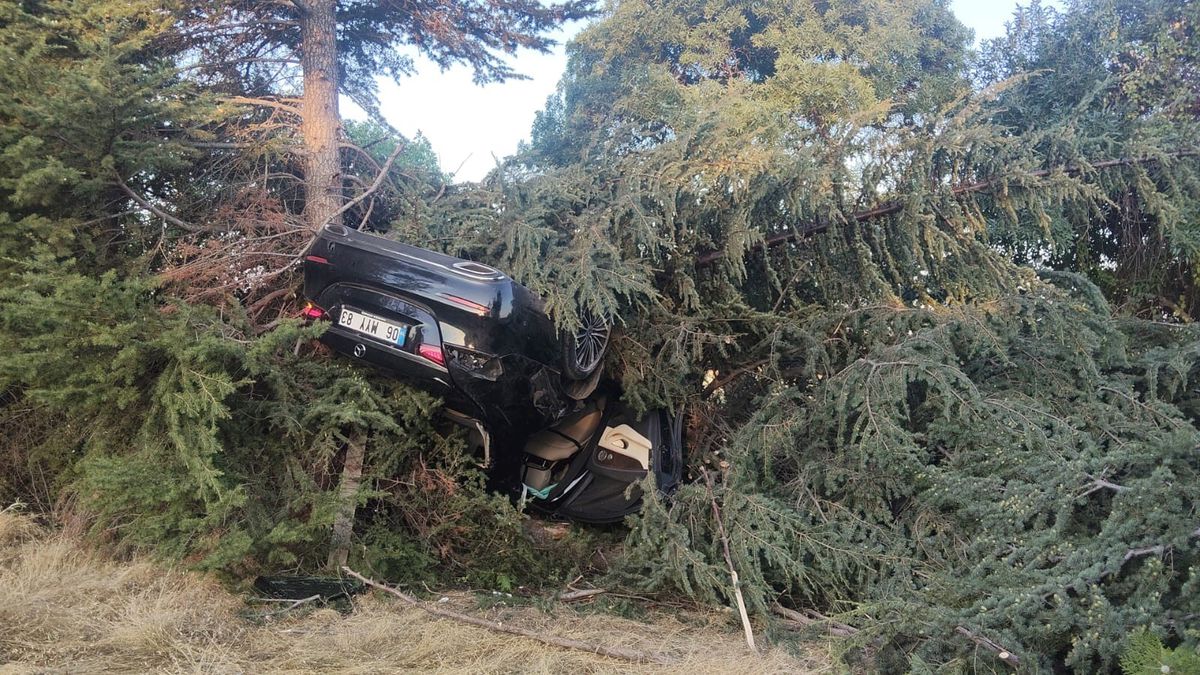Elazığ'da Otomobil Ağaca Çarptı: 1 Yaralı