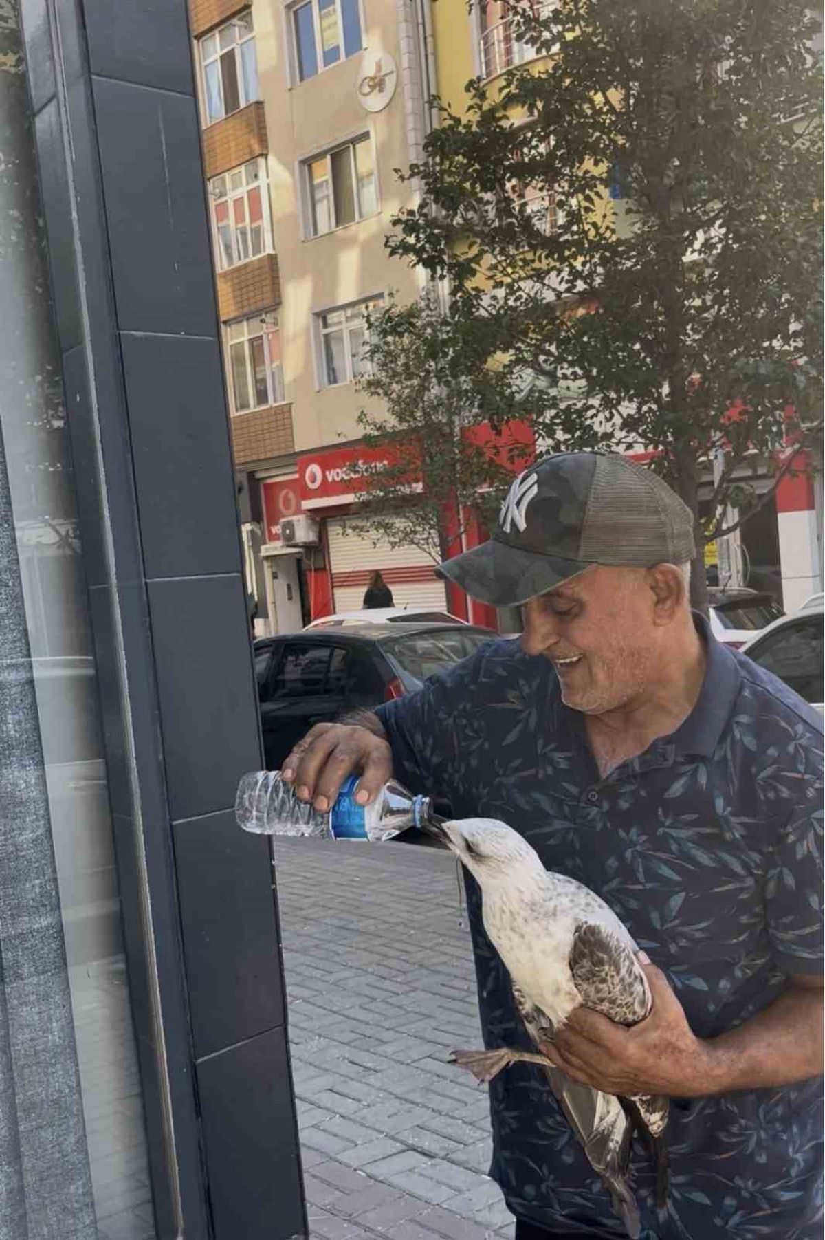 Yürek Isıtan An: Bitkin Martıyı Severken Kolunu Isırdı, O Yine de Su İçirdi