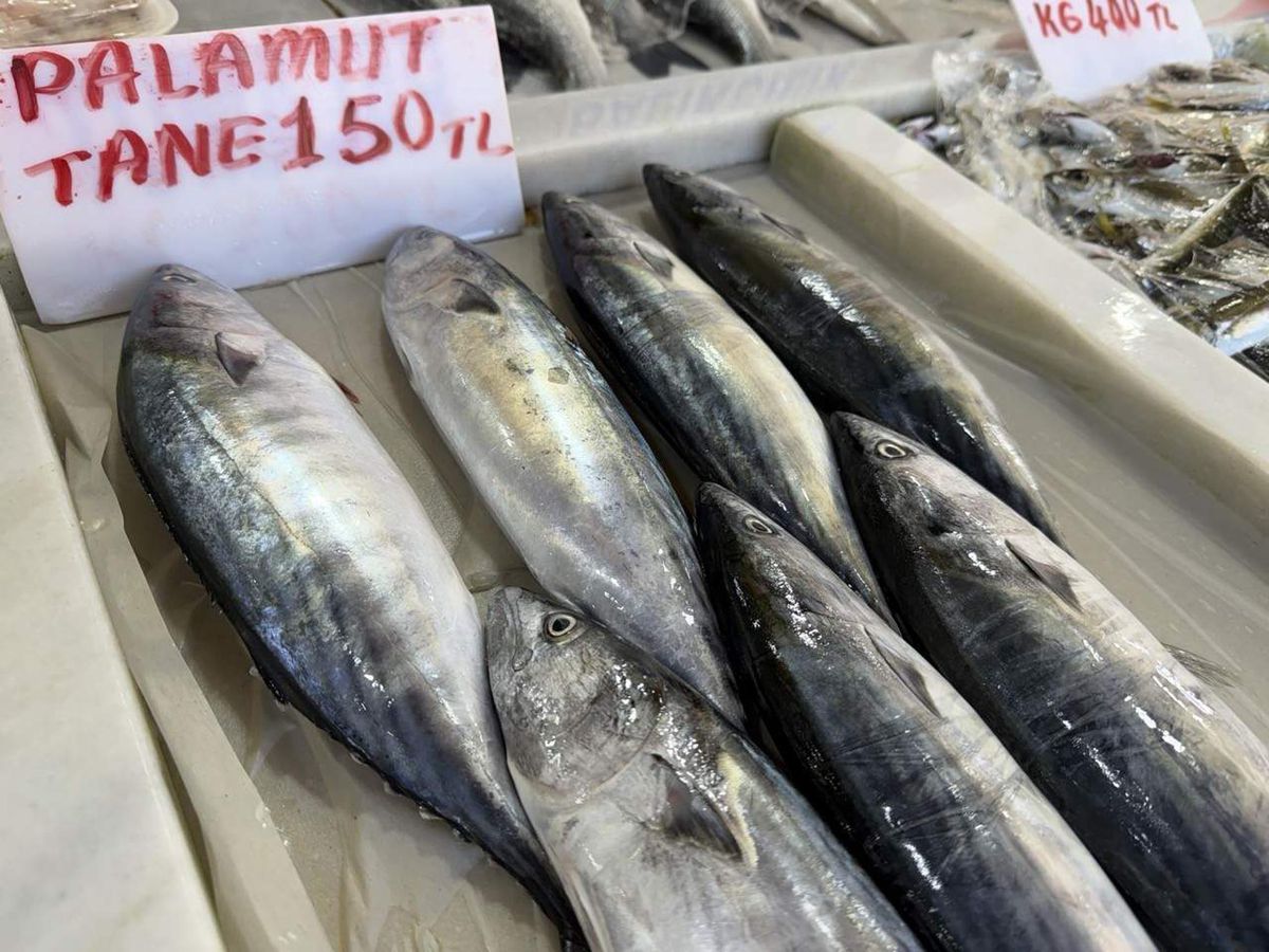 Tekirdağ'da Yeni Sezonun İlk Palamutları Tezgahlarda