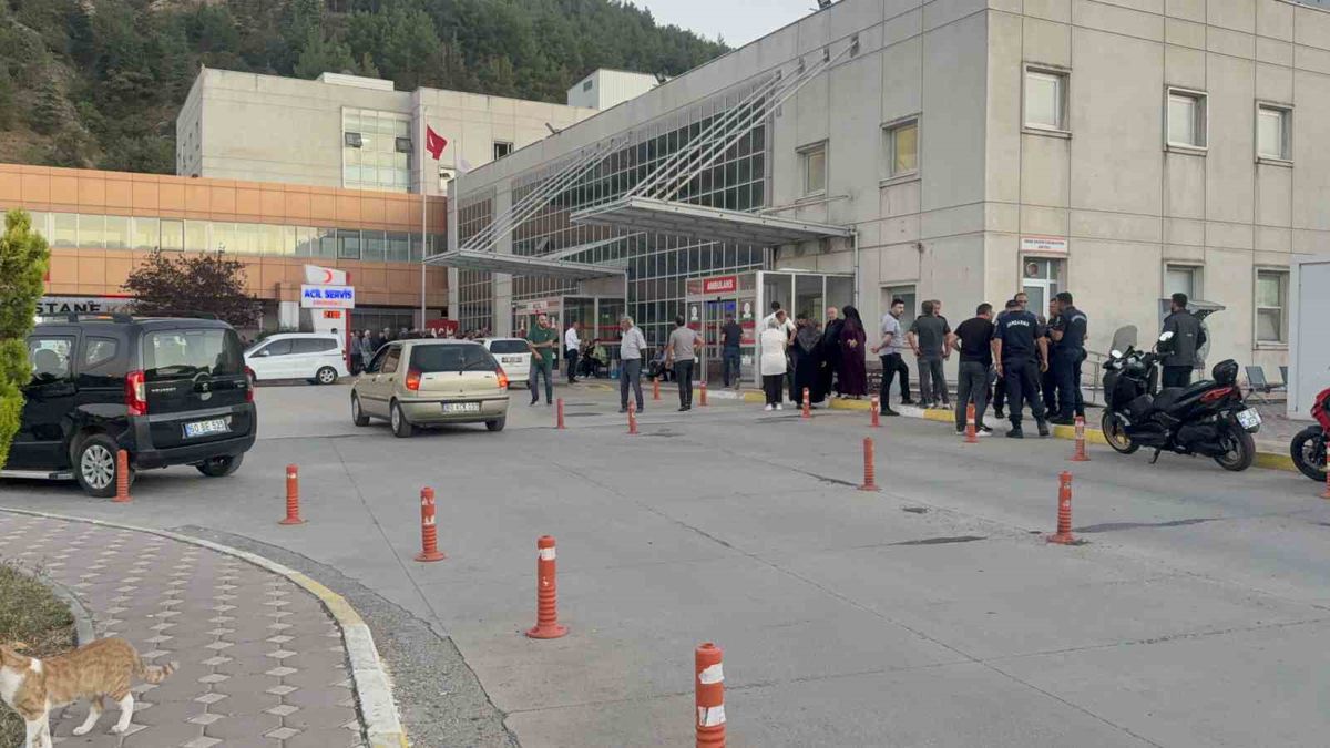 Tokat'ta hayvan otlatma kavgası: 2 yaralı