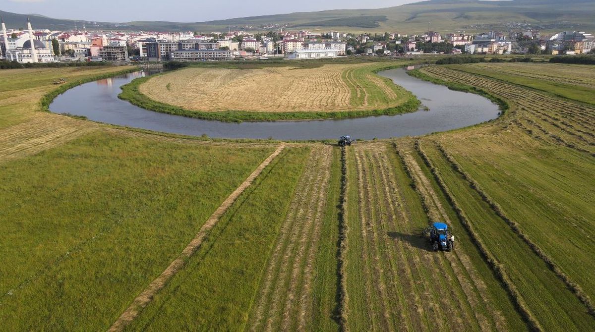 Ardahan'da Hasat Mesaisi: Kışlık Otlar İçin Yoğun Çalışma