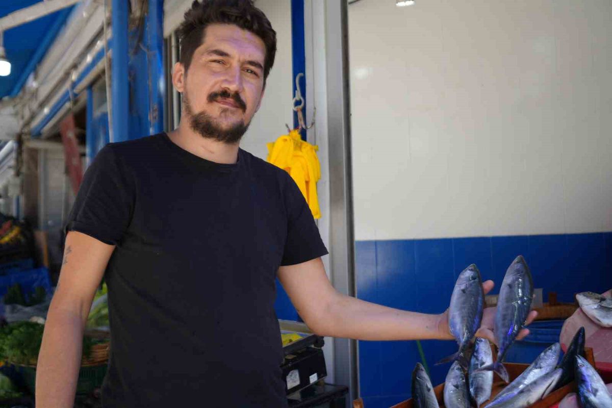 Balık sezonu palamut bolluğuyla açıldı: 150 TL'den tezgahlarda