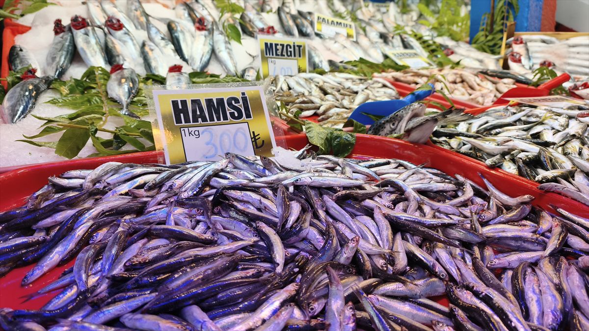 Karadeniz'de balık bolluğu tezgahlara yansıdı