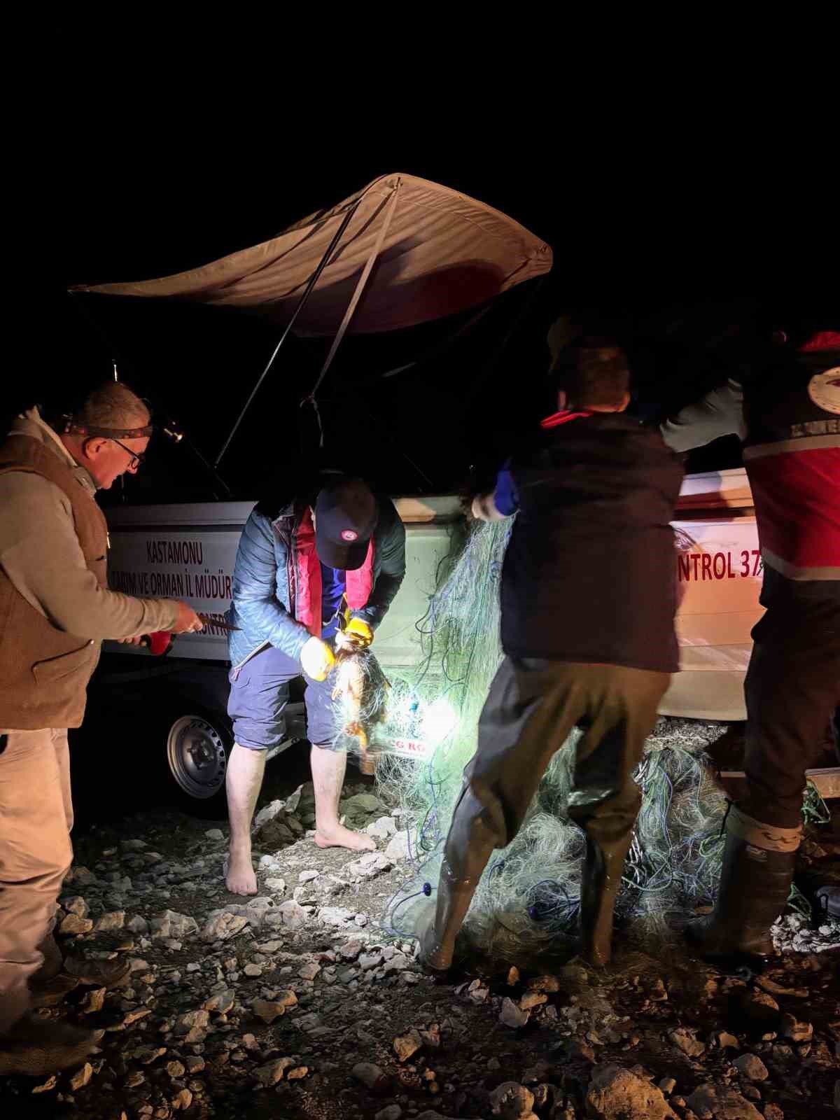 Devrekani'deki baraj göletinde 225 sazan balığı kurtarıldı