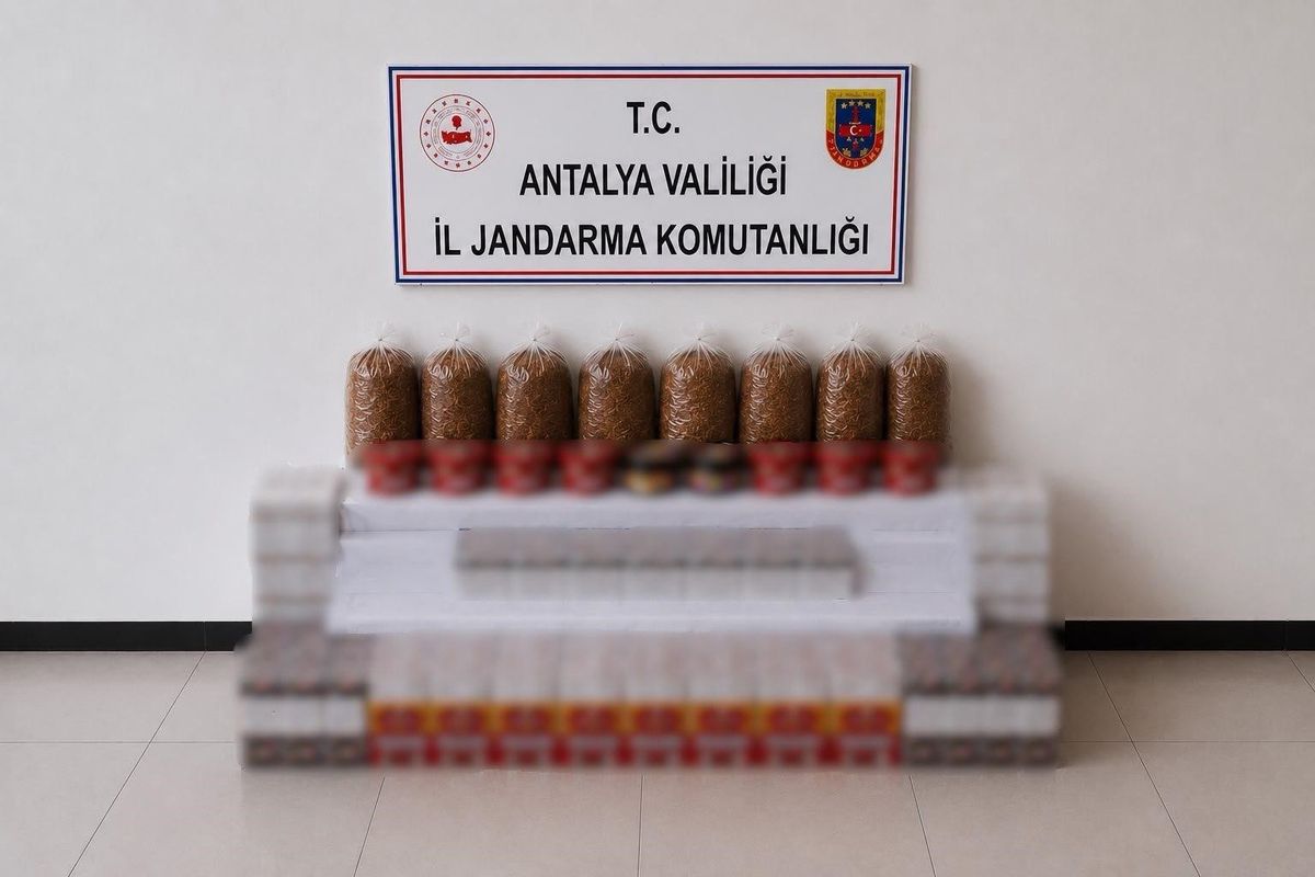 Manavgat'ta kaçak tütün operasyonu