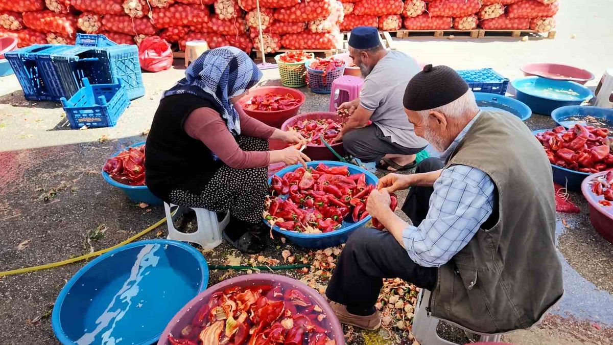Niğde'de kışlık salça telaşı başladı
