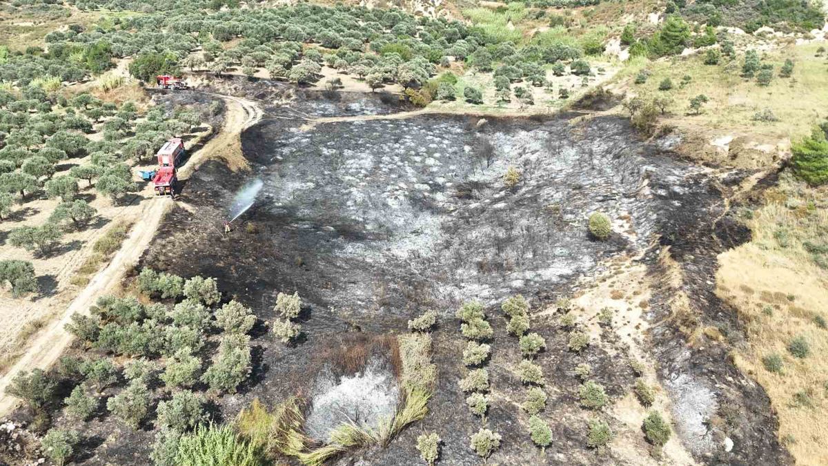 Hatay'da Zeytinlik Yangını Evlere Sıçramadan Söndürüldü