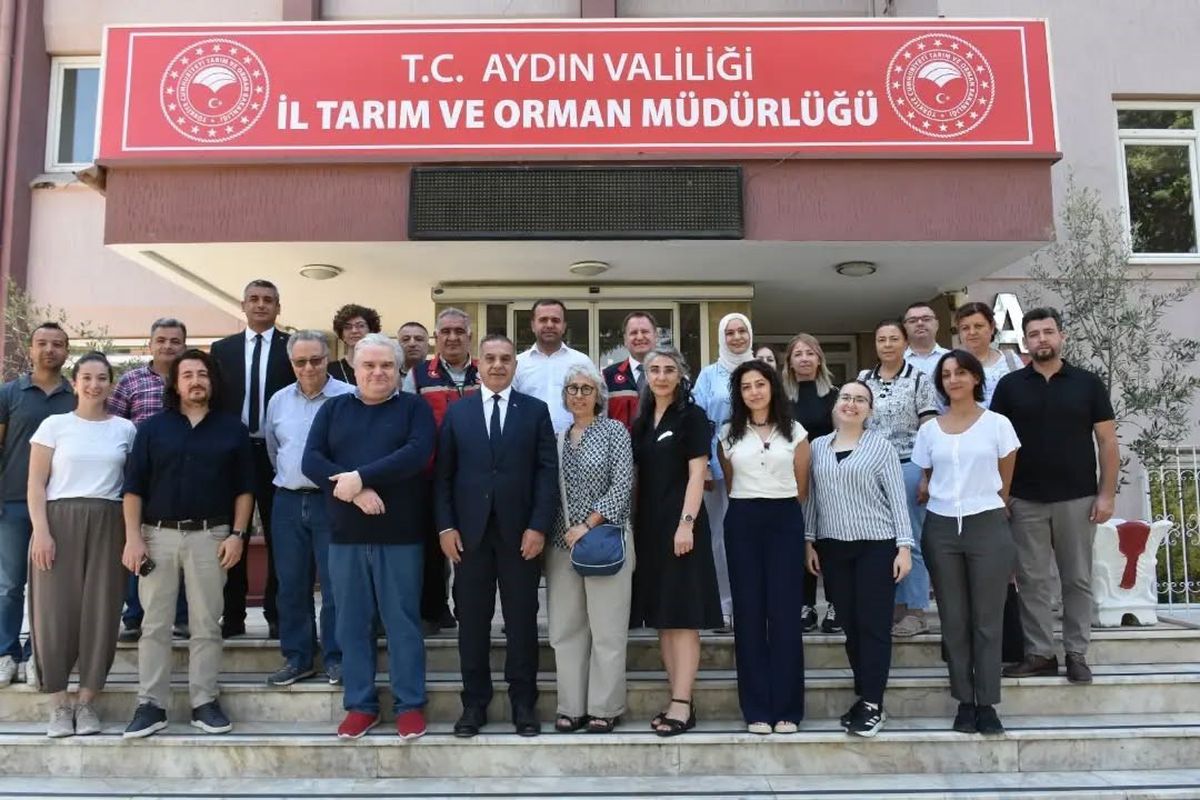 AB Heyeti Aydın'da Kuru İncirde Aflatoksin Kontrollerini Denetledi