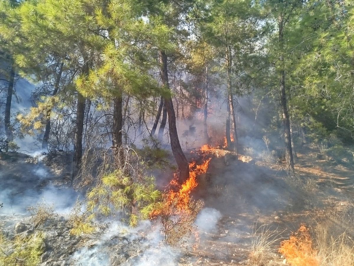 Manavgat'ta Orman Yangınına Müdahale