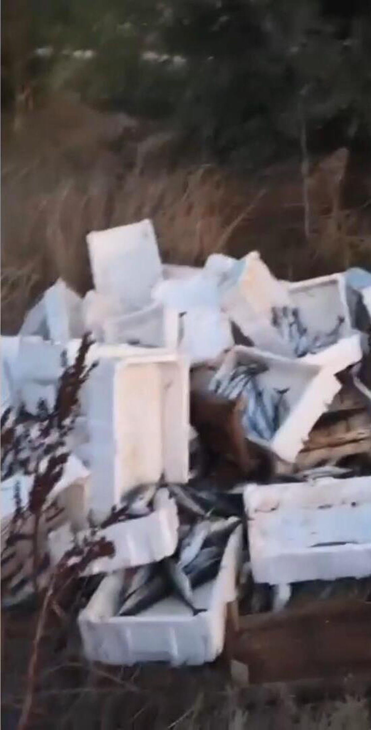 Bozuk balıkları araziye döken sürücüye 40 bin lira ceza