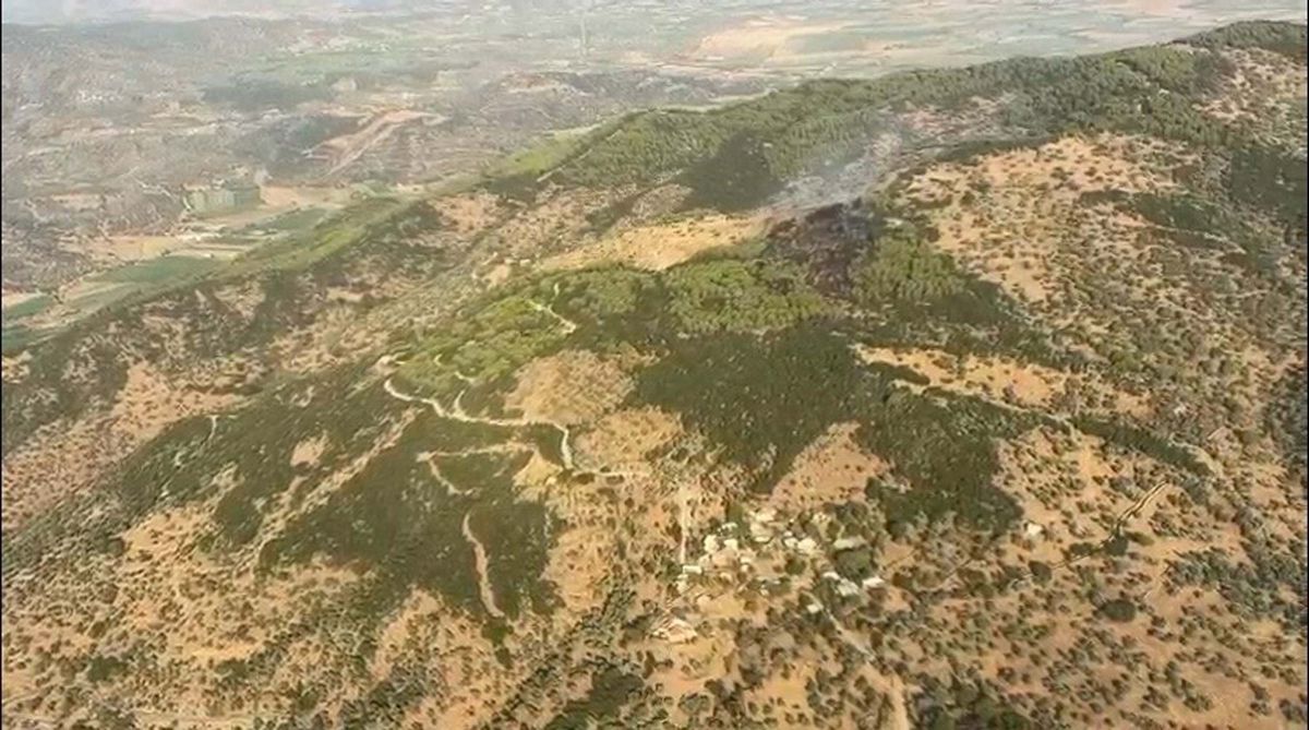 Çine'de orman yangını 2 saatte kontrol altına alındı