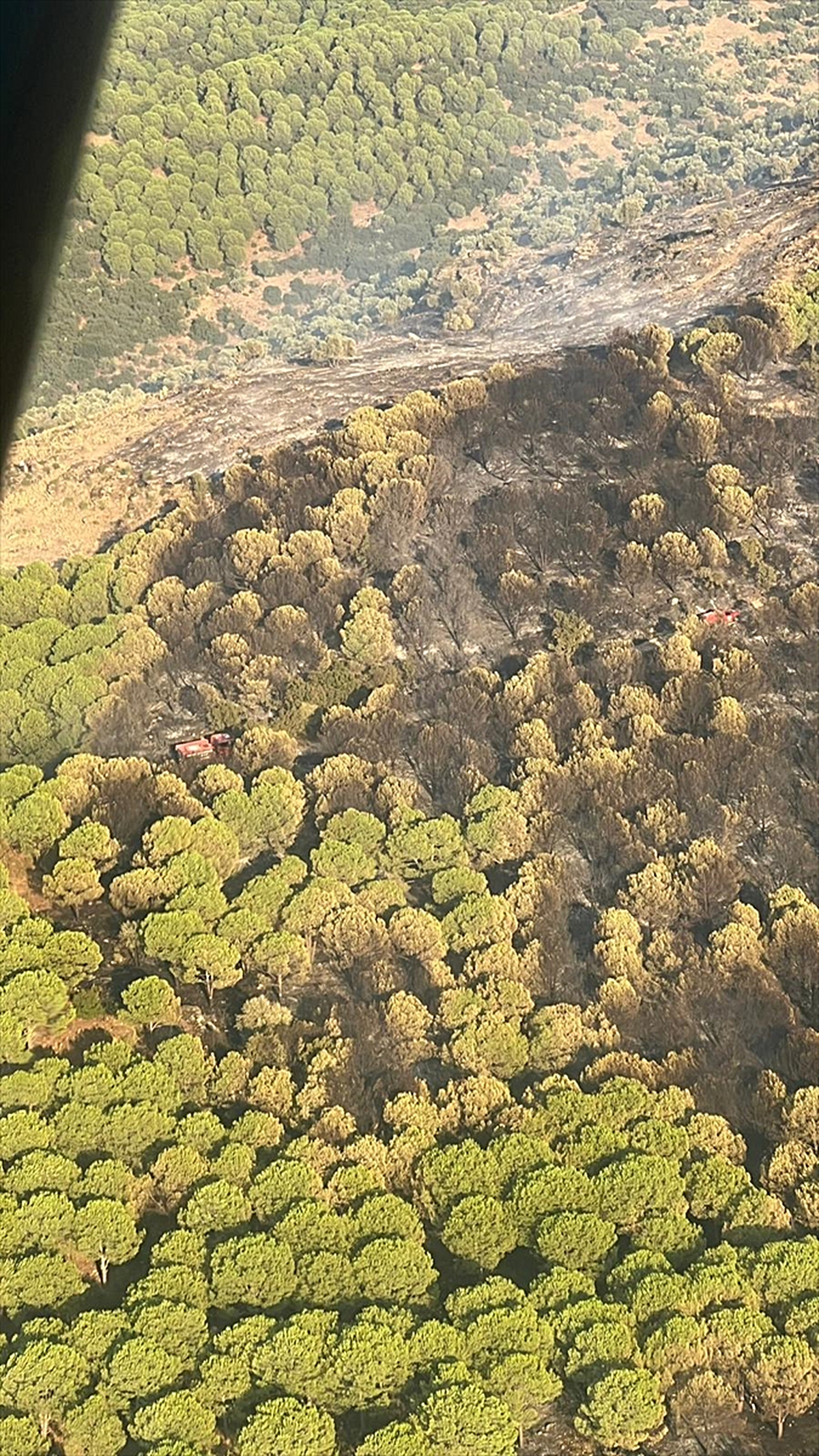 Aydın Çine'de yangın: 5 helikopter 6 uçakla müdahale