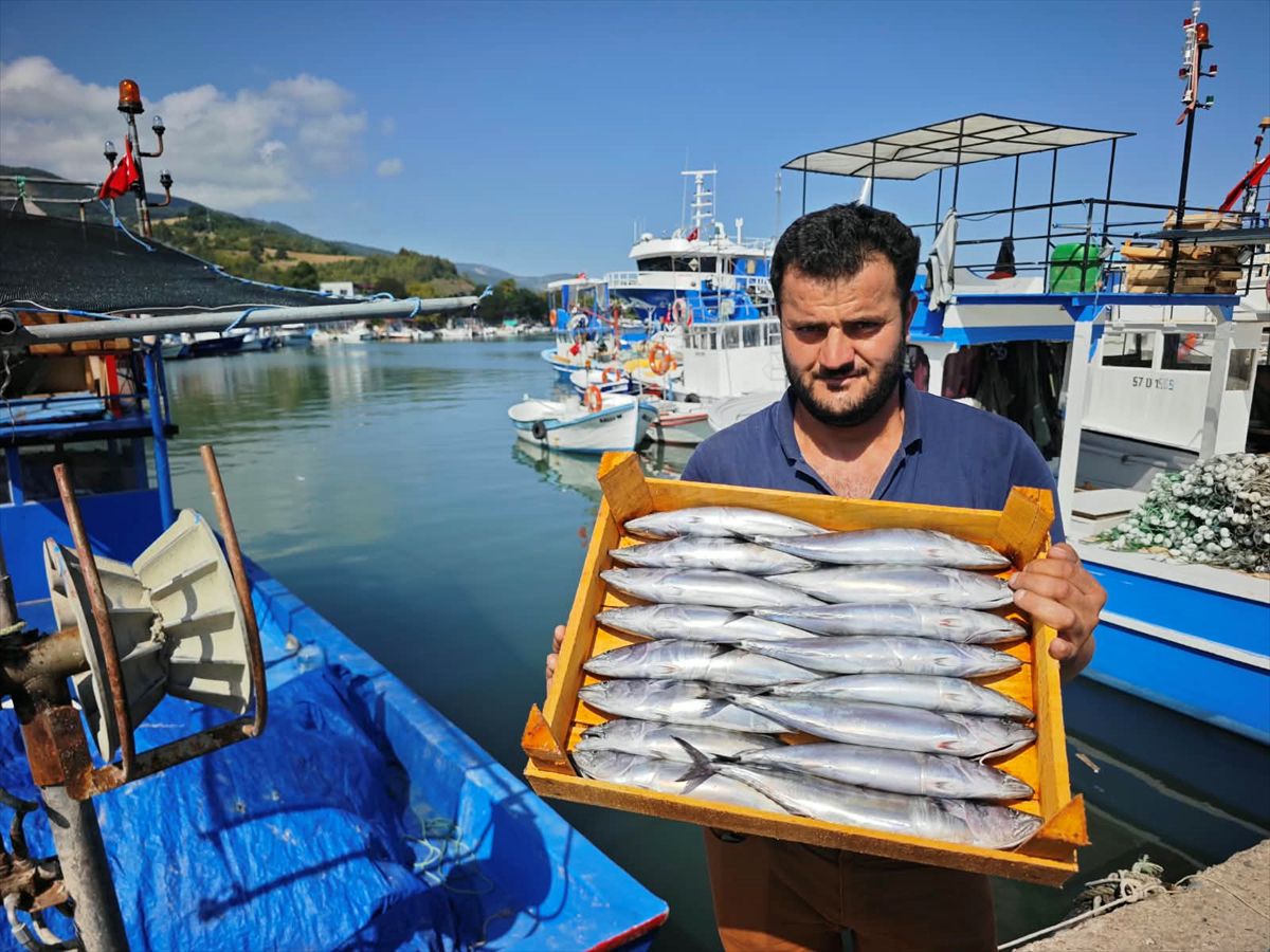 Karadeniz'de balık bolluğu: Palamut, hamsi ve mezgit tezgahlarda
